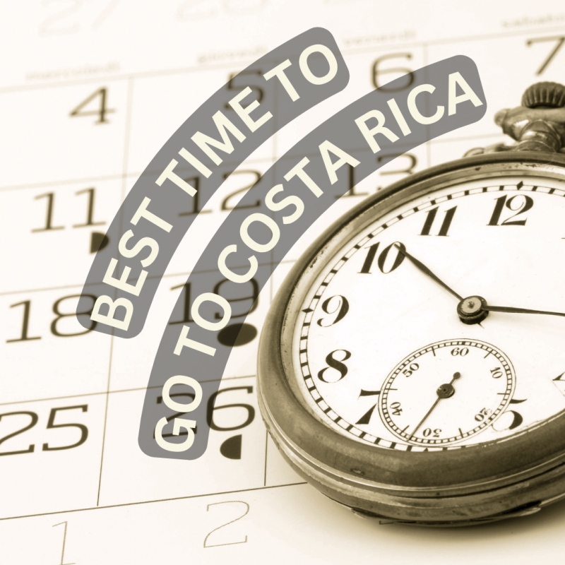 Best Time to Go to Costa Rica