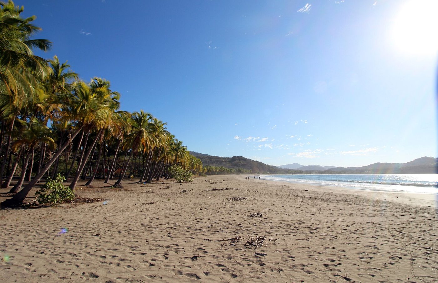 Best Time to Go to Costa Rica