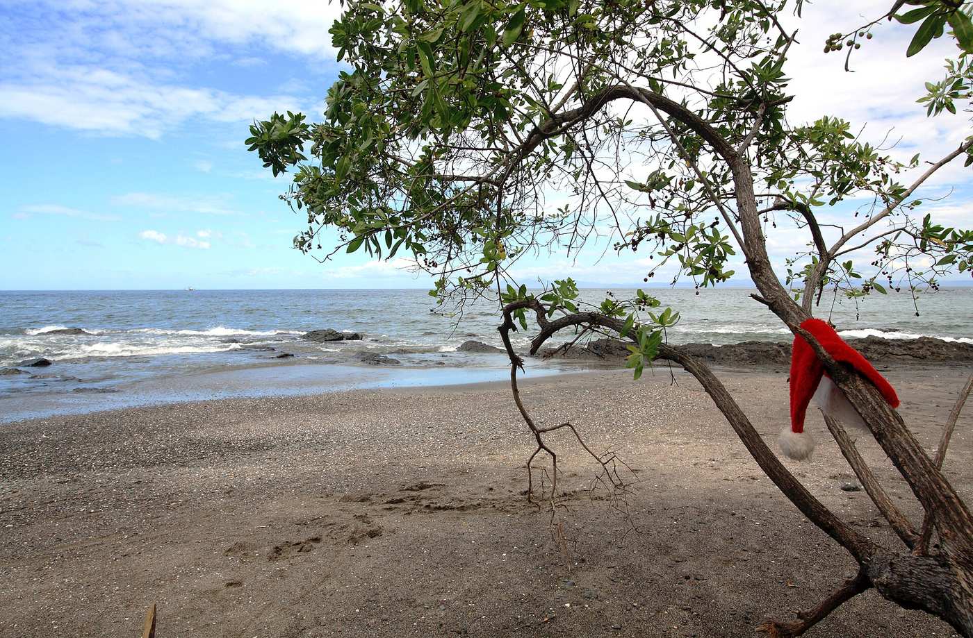 Christmas in Costa Rica: How Ticos and Expats Celebrate the Holidays in Paradise
