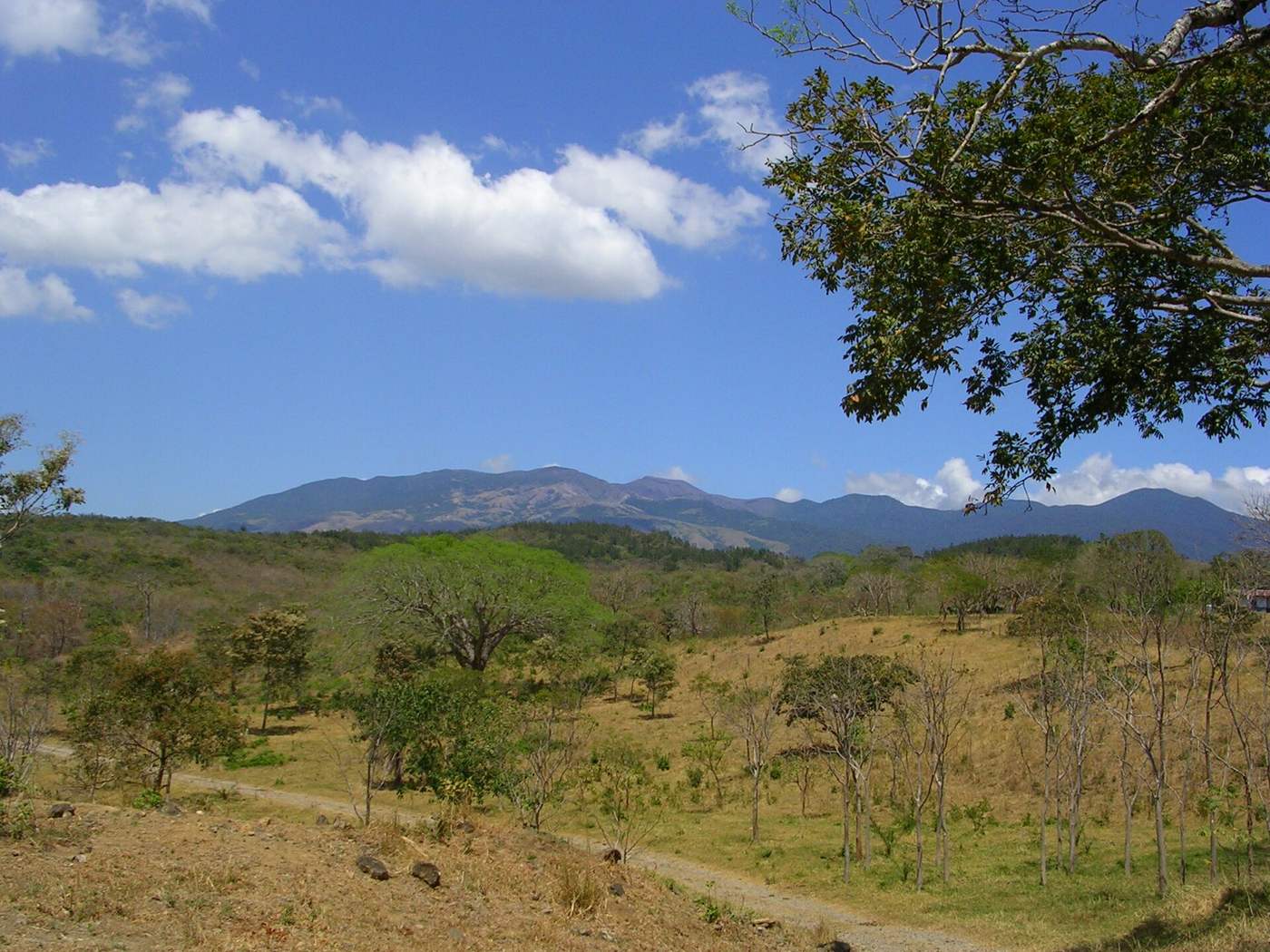 Curubandé, Guanacaste: Real Costa Rica Living Close to Everything
