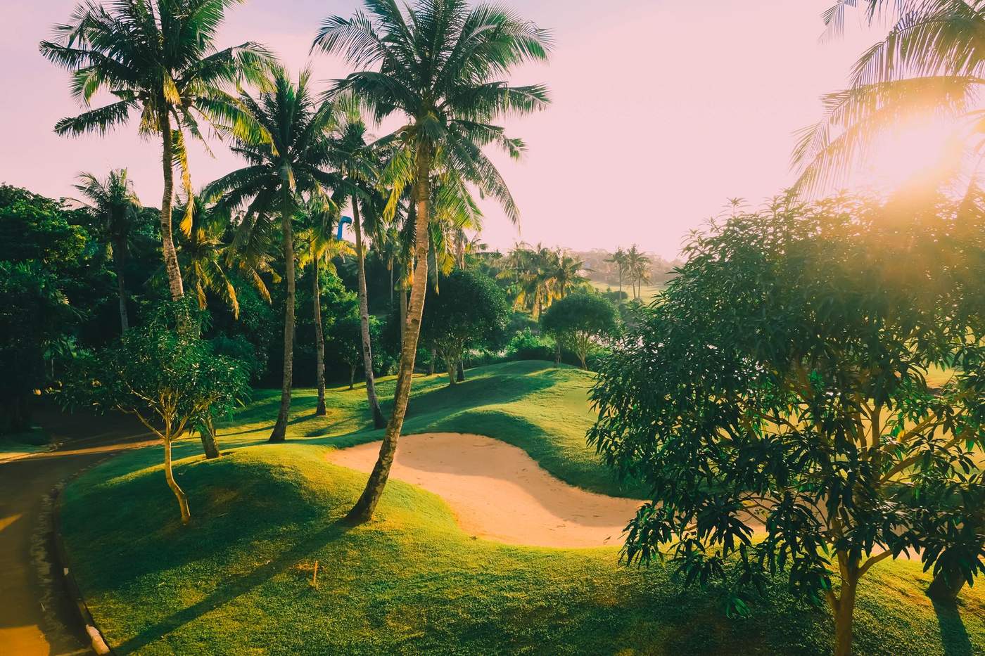 Palm-lined tropical golf course with a sand bunker glowing at golden hour sunset