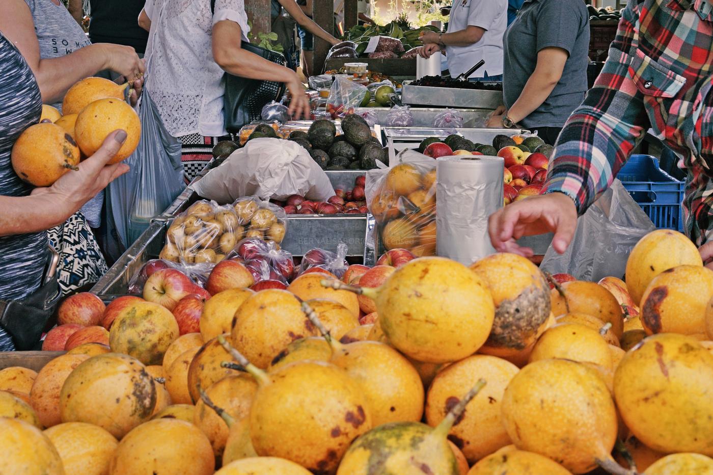 Grocery Shopping in Playas del Coco: Where Locals and Expats Buy