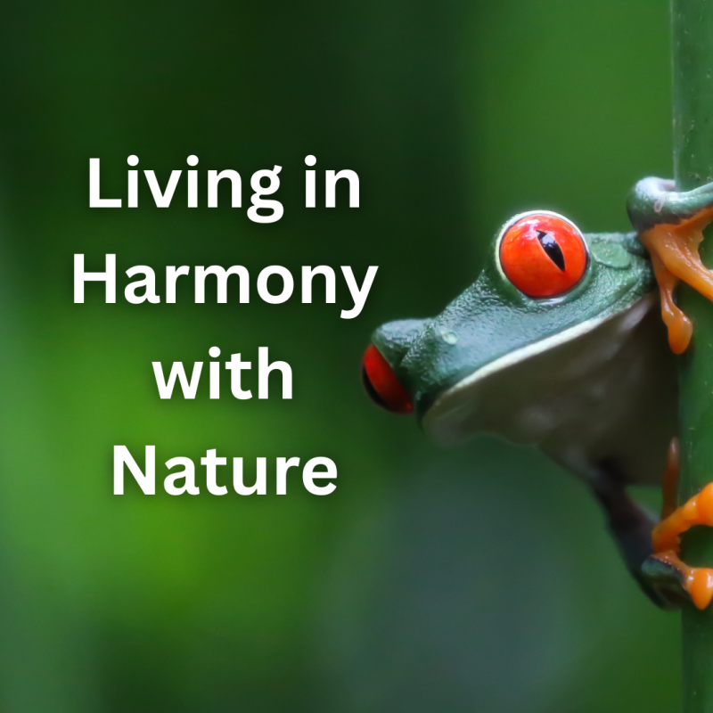 Living in Harmony with Nature