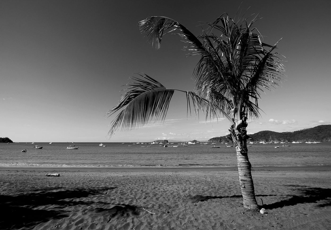 Living in Playas del Coco: A Complete 2026 Guide
