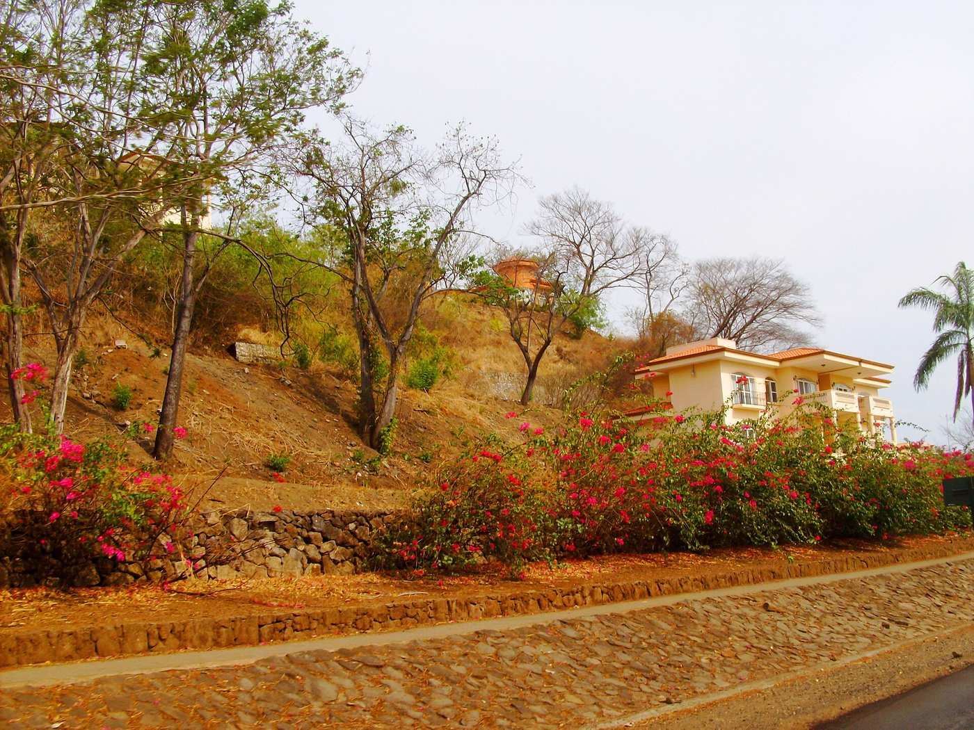 The 11 Most Asked Questions About Costa Rica Real Estate