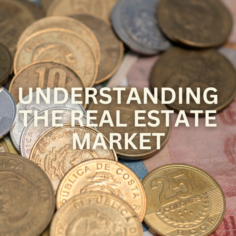 Understanding the Market: Costa Rica Real Estate Trends