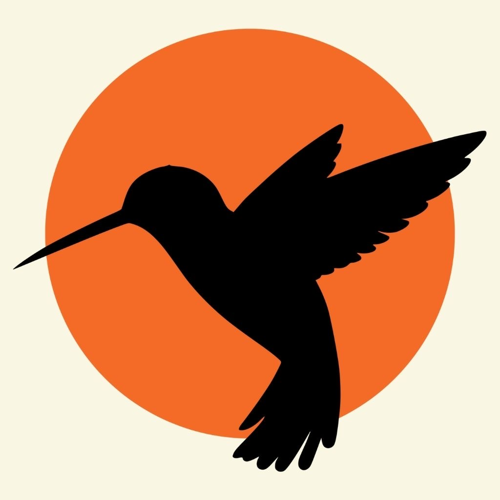 Hummingbird in Guanacaste